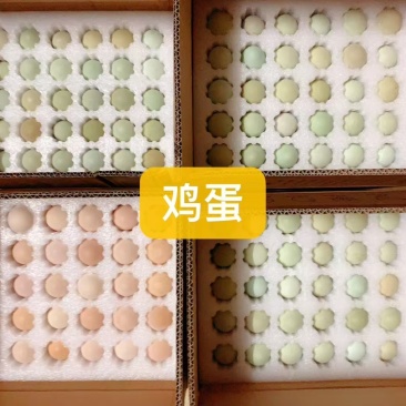 珍珠棉鸡蛋托家用30枚土鸡蛋包装盒装寄快递防震防摔打包专用箱