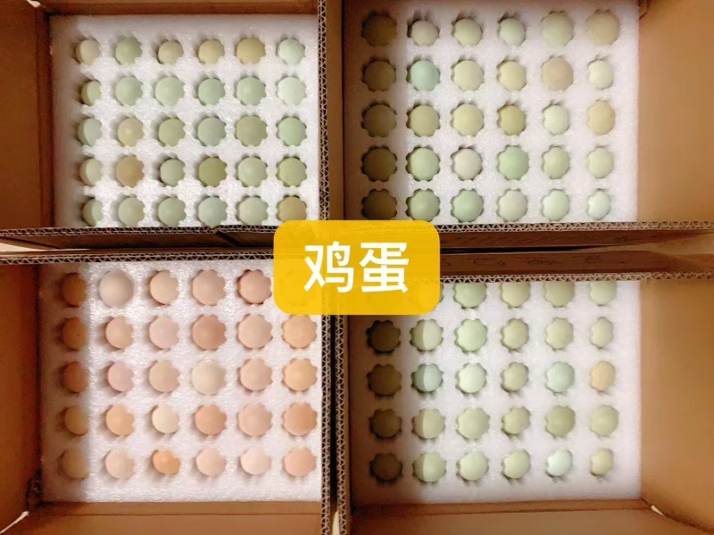 珍珠棉鸡蛋托家用30枚土鸡蛋包装盒装寄快递防震防摔打包专用箱