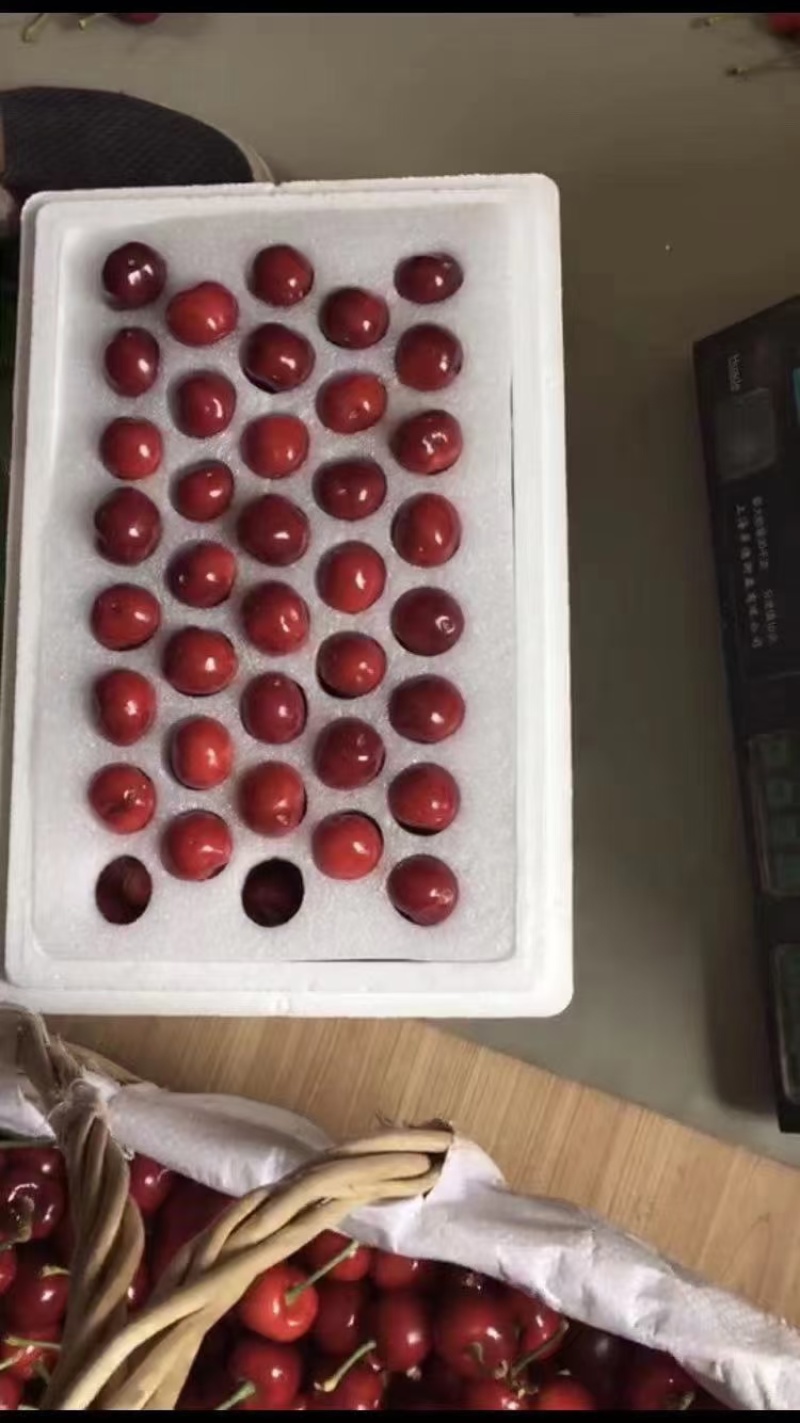 防震珍珠棉泡沫托水果蔬菜快递抗震防摔大号水果蔬菜包装定制