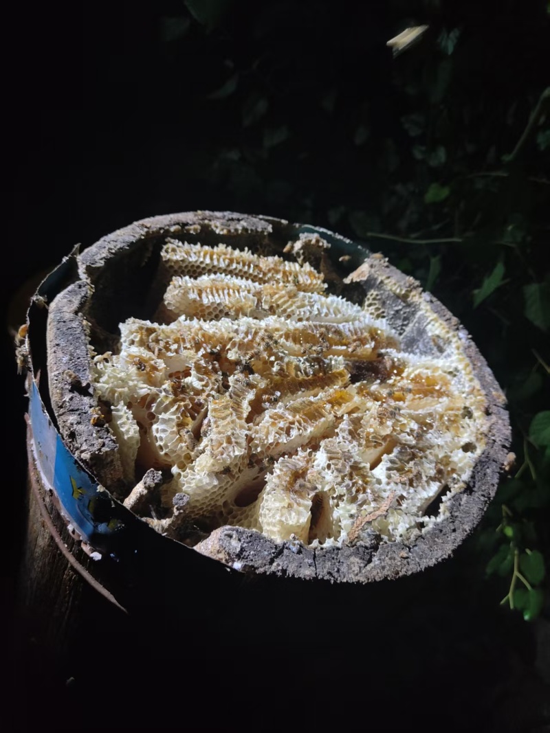 ***土蜂蜜