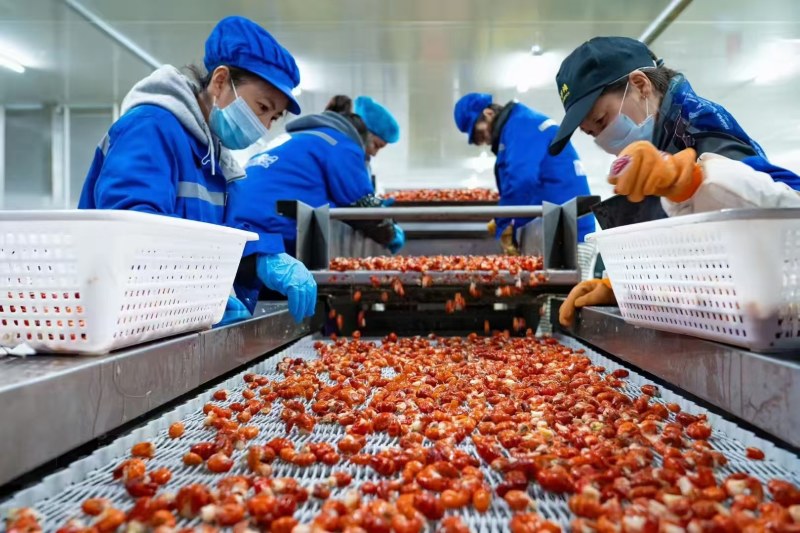 虾尾，个大保质保量，工厂直发