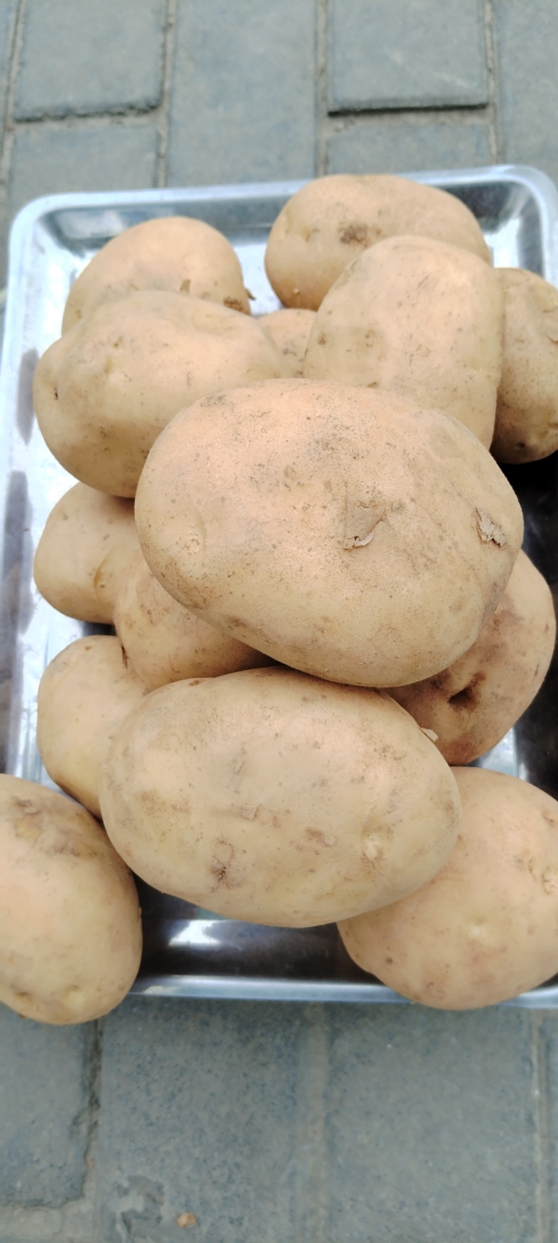 甘肃岷县精品土豆新鲜洋芋