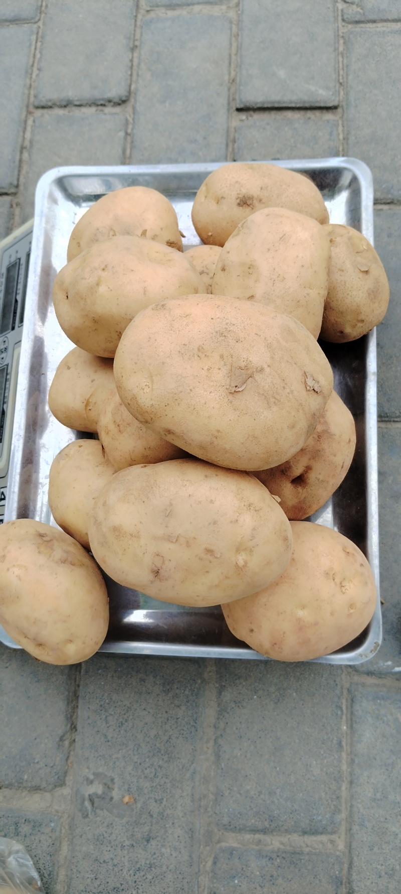 甘肃岷县精品土豆新鲜洋芋