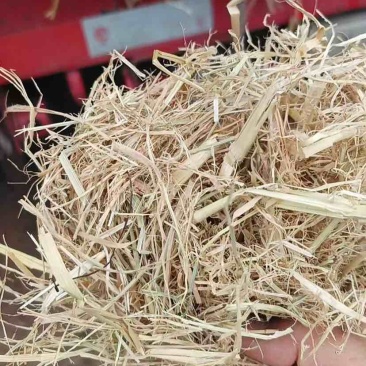 牛羊草料