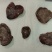 鸡宝出售10克左右