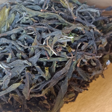 云南冰岛普洱茶