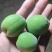 青梅