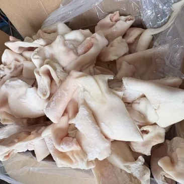 猪皮精品猪蹄皮冷链物流发货现货供应