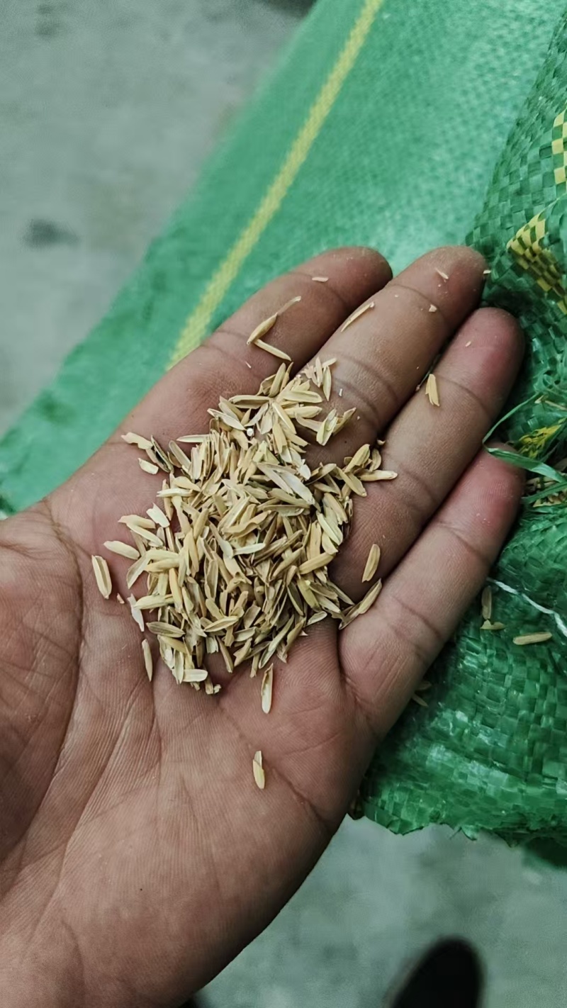 河南地区，压缩稻壳，打包稻壳，种植养殖，现打现发，按需生产