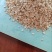 贝壳粉中颗粒厂家直发一手货源对接饲料厂肥料厂，价格可谈