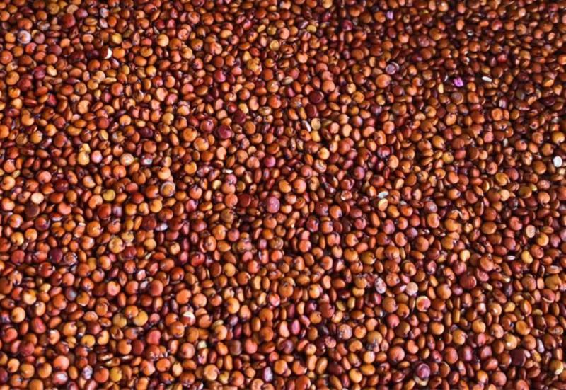 青海特级三色藜麦米，规格25kg/袋，山西朔州发货。