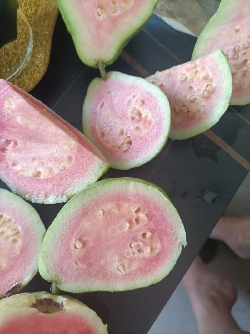 红心芭乐白心芭乐大量供应质量保证一件代发