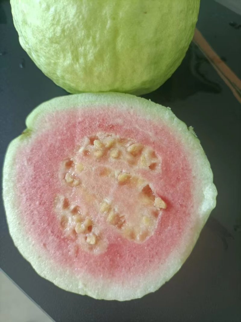 红心芭乐白心芭乐大量供应质量保证一件代发
