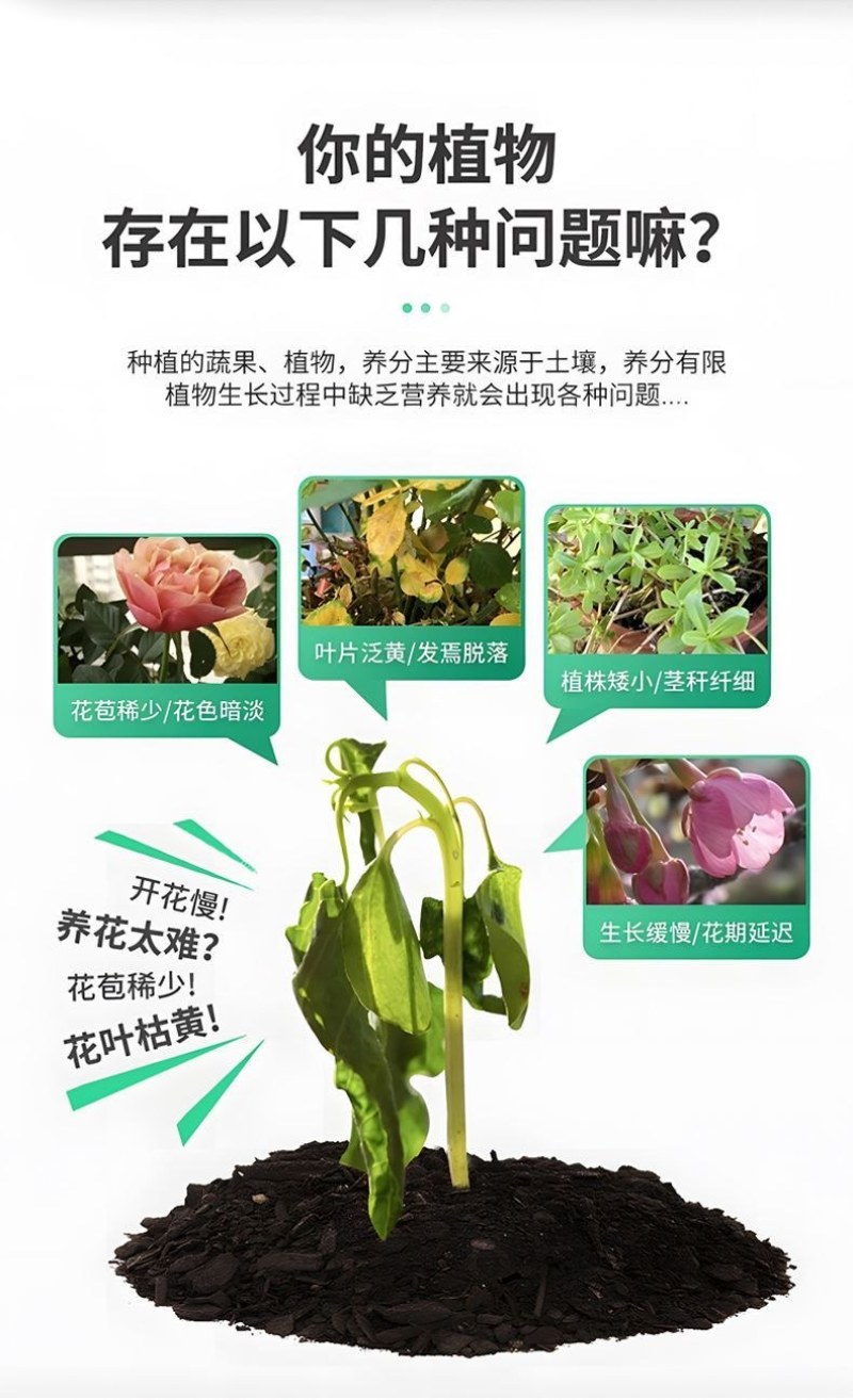 果蔬壹号中量元素水溶肥