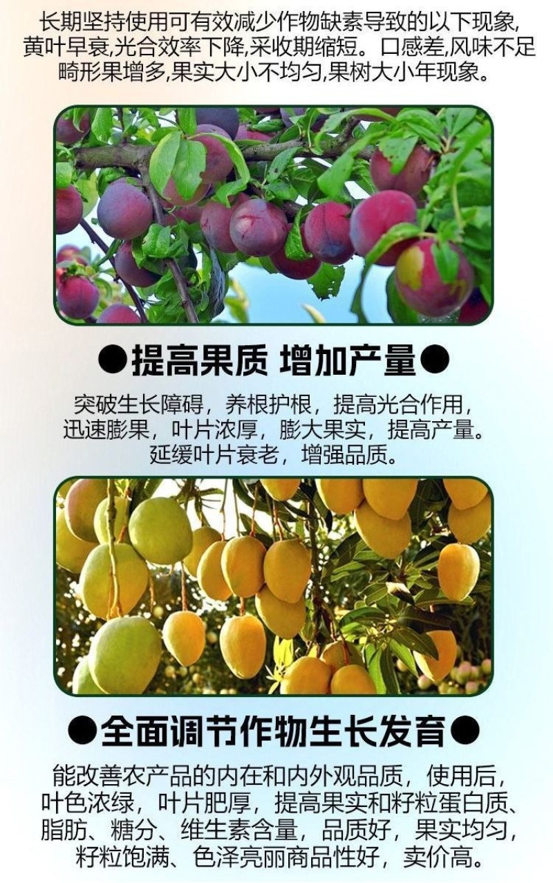 果蔬壹号中量元素水溶肥