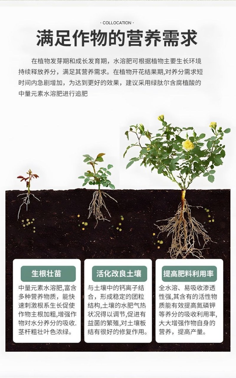 果蔬壹号中量元素水溶肥