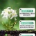 果蔬壹号中量元素水溶肥