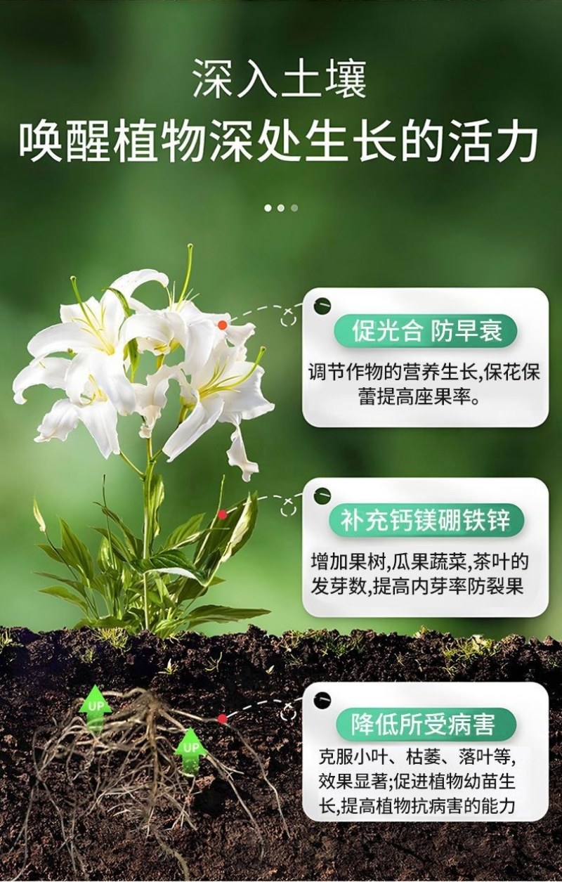 果蔬壹号中量元素水溶肥