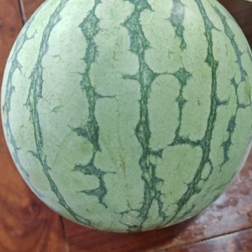 彩虹冰激凌瓜