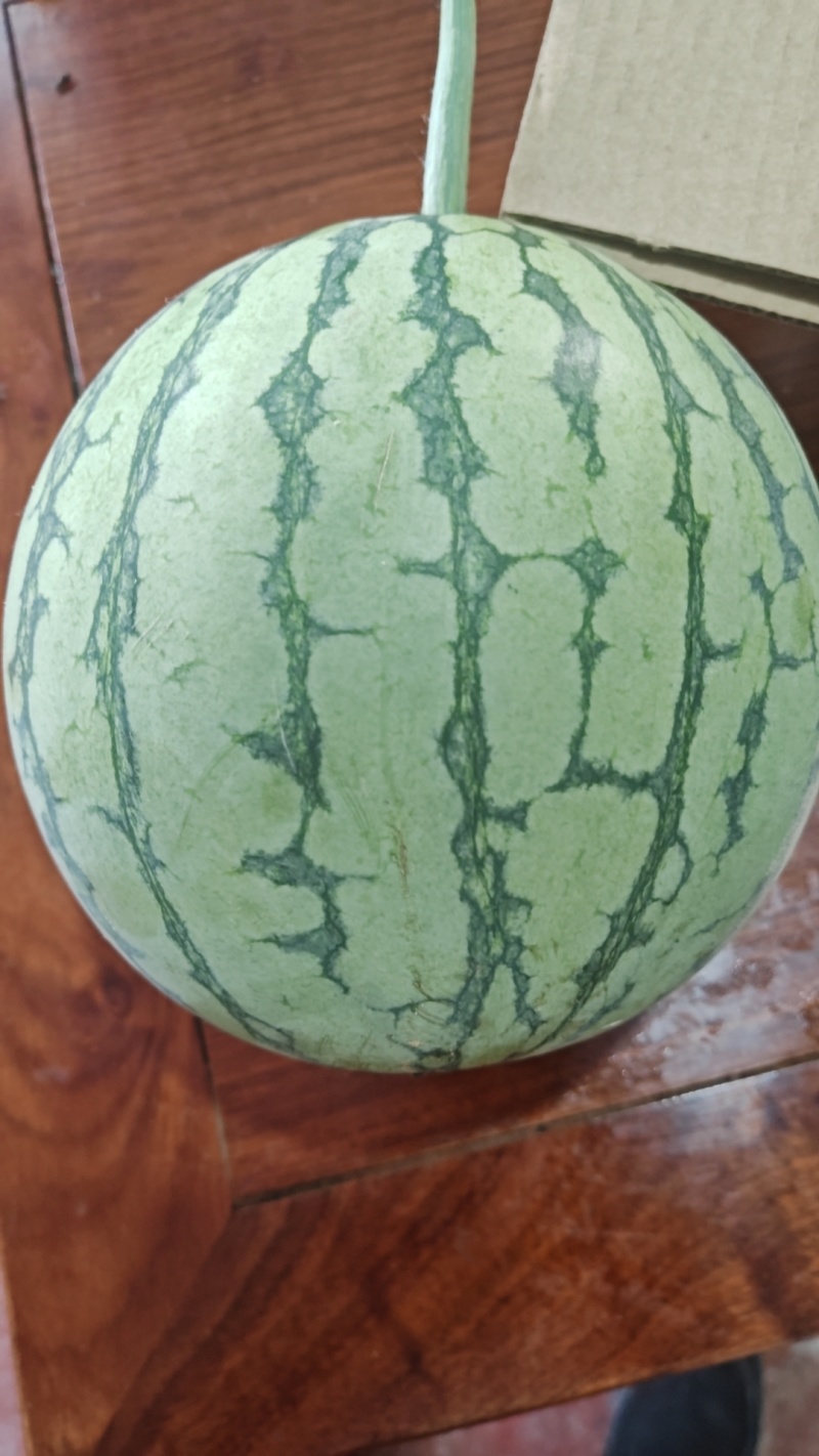 彩虹冰激凌瓜