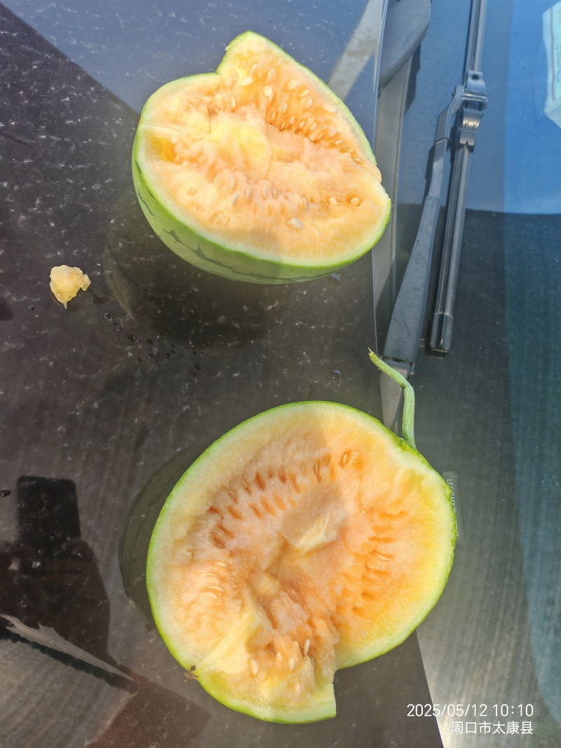 彩虹冰激凌瓜