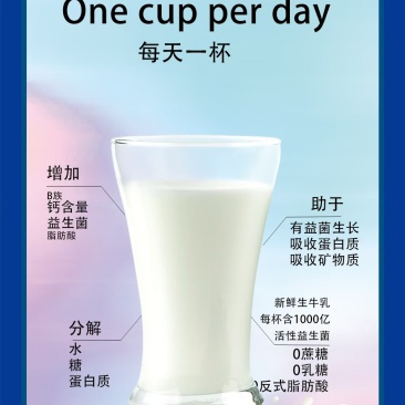 酸奶配方