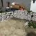 山东玫瑰鲜切花批发