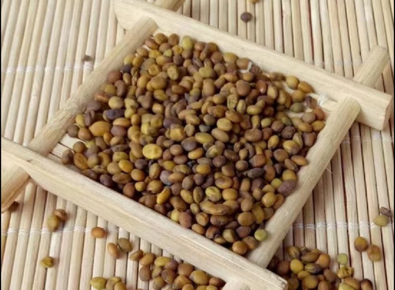 精品苦豆子内蒙新货价格优势优廉品质优良，含量高且干净欢迎