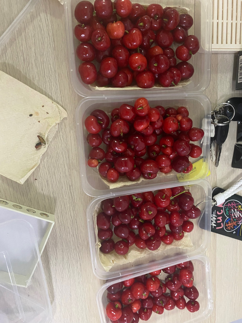 山东大樱桃美早红灯先锋物流直达一件代发