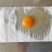 土鸡蛋煎炒金黄，蛋香浓郁，口口醇香。