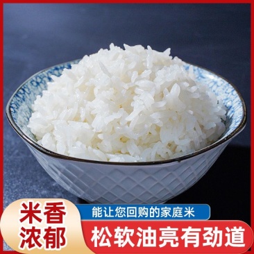 东北大米