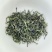 绿茶