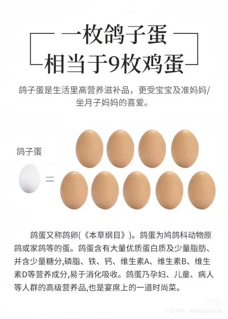 新鲜正宗散养鸽蛋农家散养草鸽鸽蛋五谷杂粮宝宝营养辅食孕妇营养