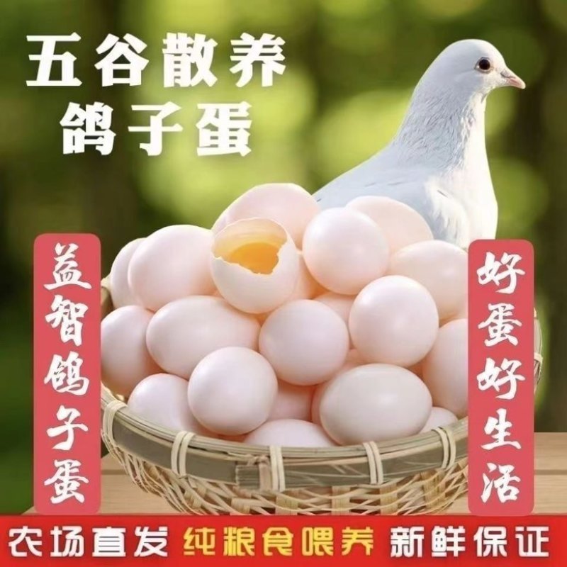新鲜正宗散养鸽蛋农家散养草鸽鸽蛋五谷杂粮宝宝营养辅食孕妇营养