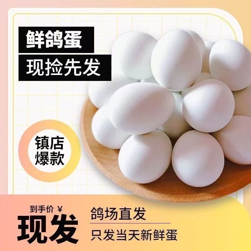 新鲜正宗散养鸽蛋农家散养草鸽鸽蛋五谷杂粮宝宝营养辅食孕妇营养