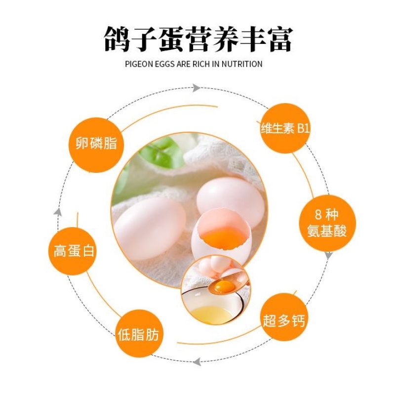 新鲜正宗散养鸽蛋农家散养草鸽鸽蛋五谷杂粮宝宝营养辅食孕妇营养