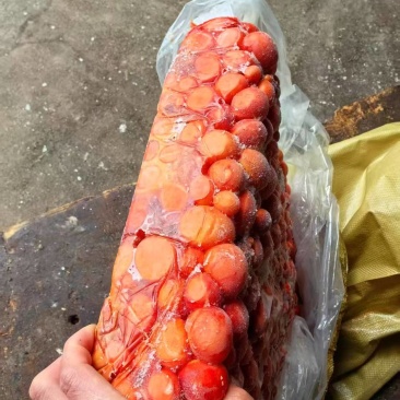 红心鸭蛋黄带蛋渣，2吨左右
