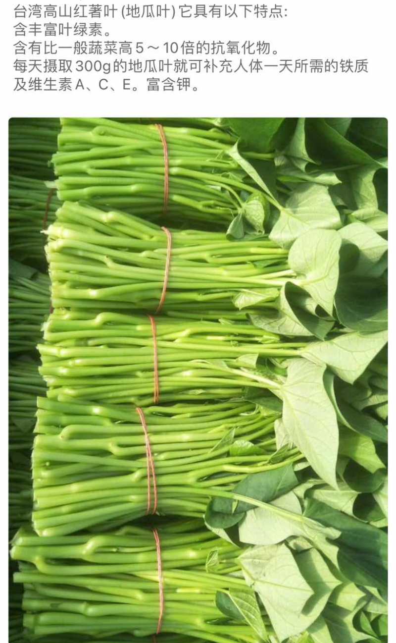 自家种植红薯叶，品质高，价格好