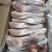 乳牛腿厂家直销大量现货量大从优