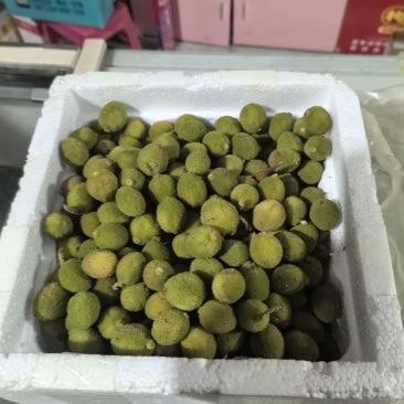 自种青杨梅新鲜果现摘泡酒专用青果小杨梅当季超酸水果一整箱