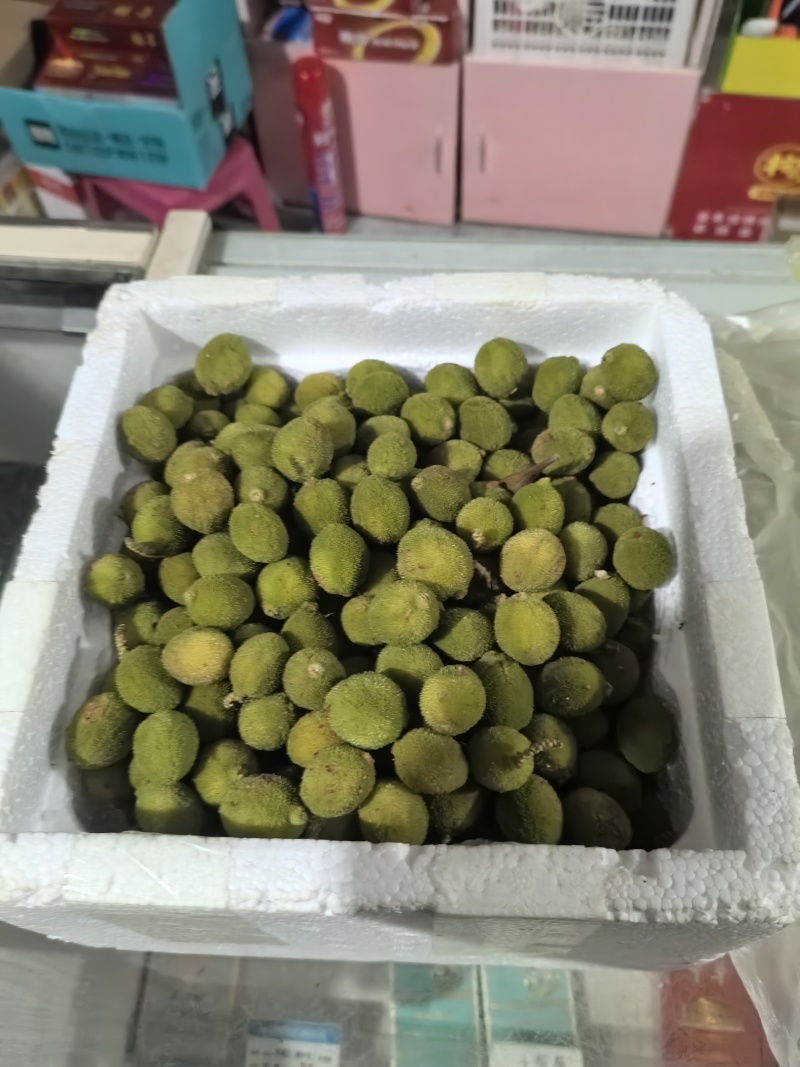 自种青杨梅新鲜果现摘泡酒专用青果小杨梅当季超酸水果一整箱