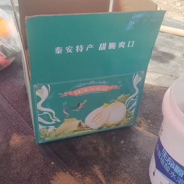 秦安白脆瓜