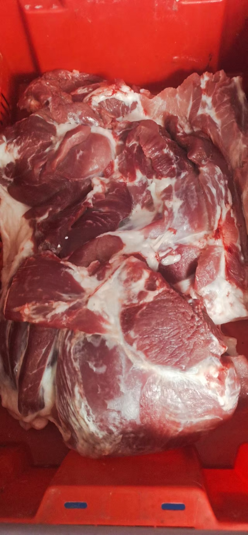 两吨冷鲜肉，前腿肉后腿肉，五花肉
