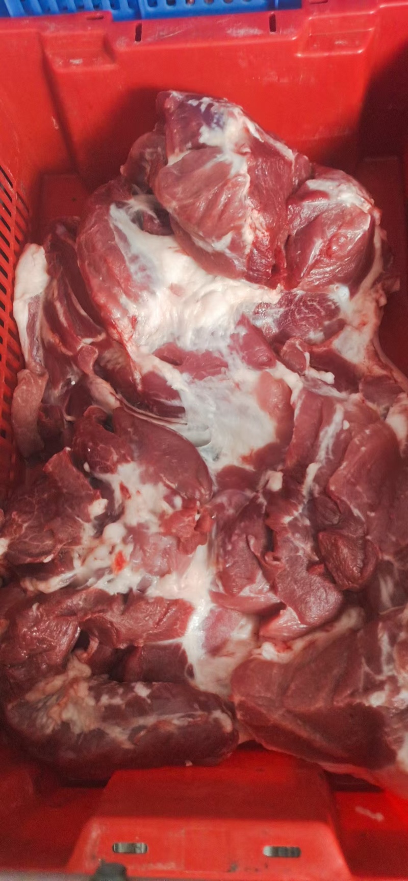 两吨冷鲜肉，前腿肉后腿肉，五花肉