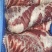两吨冷鲜肉，前腿肉后腿肉，五花肉