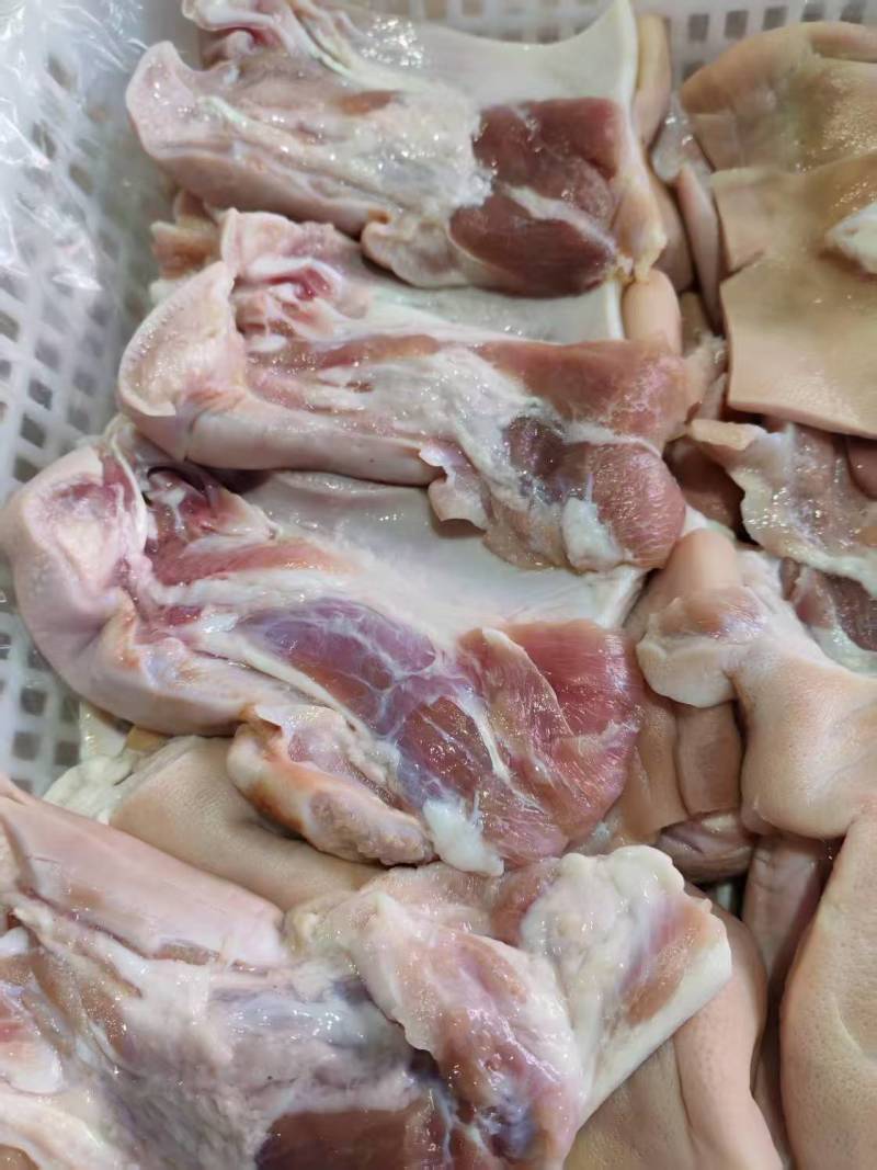 工厂每天生产中猪整鼻半鼻