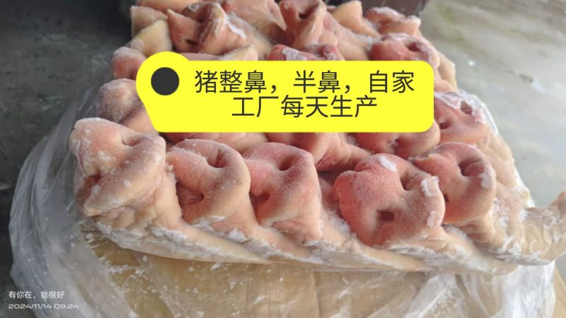 工厂每天生产中猪整鼻半鼻