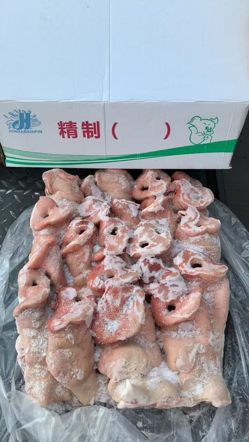 工厂每天生产中猪整鼻半鼻