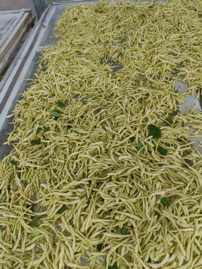 山东平邑金银花百花一号干花，自己在山上种的