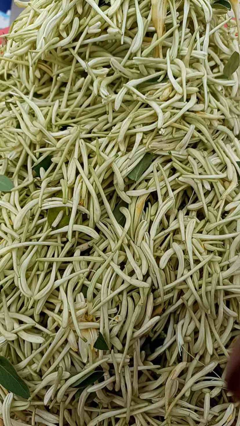 山东平邑金银花百花一号干花，自己在山上种的